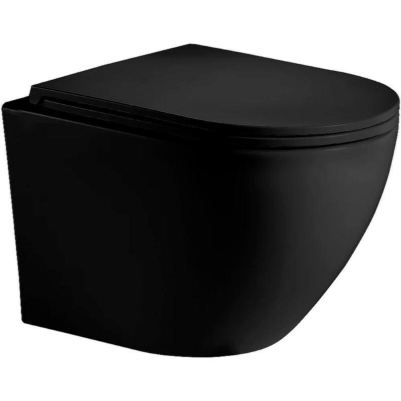 Унитаз подвесной безободковый WW MERZBACH 041 MT-BL