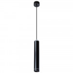 Подвесной светодиодный светильник Arte Lamp Altais A6110SP-2BK