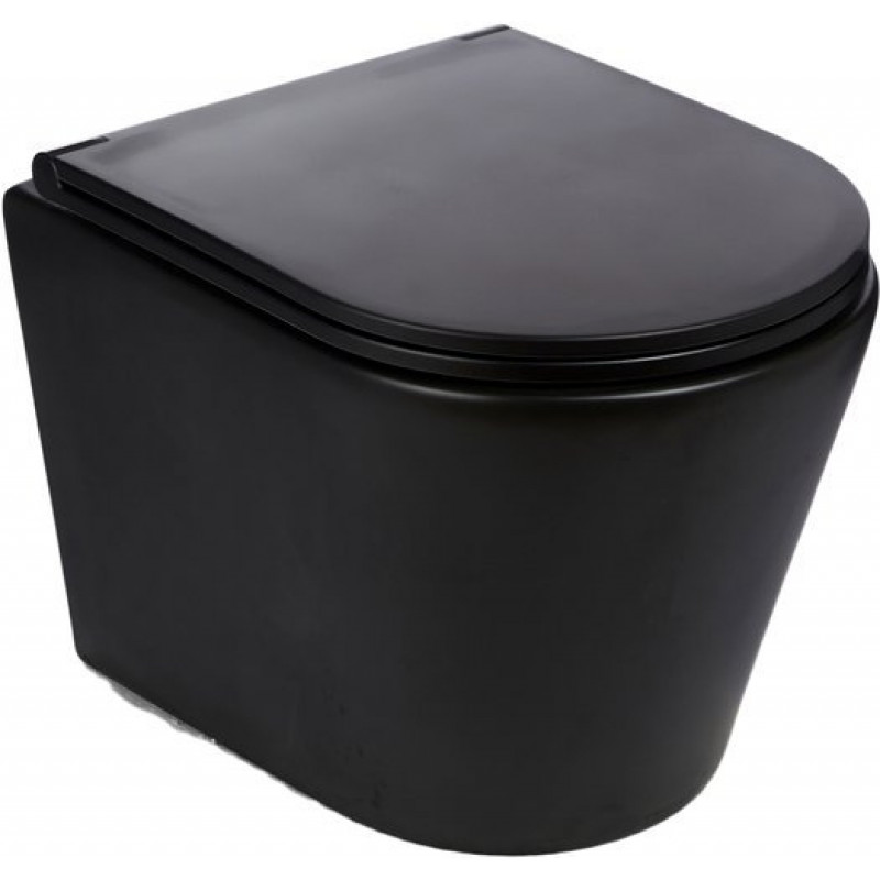 Унитаз подвесной безободковый WW SALZBACH 004 MT-BL